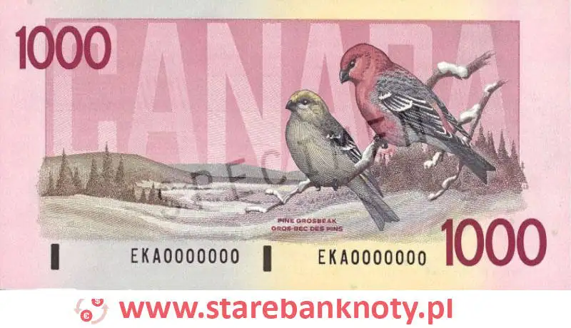 widok banknotu 1000 dolarów kanadyjskich rewers
